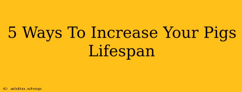 5 Ways To Increase Your Pigs Lifespan 