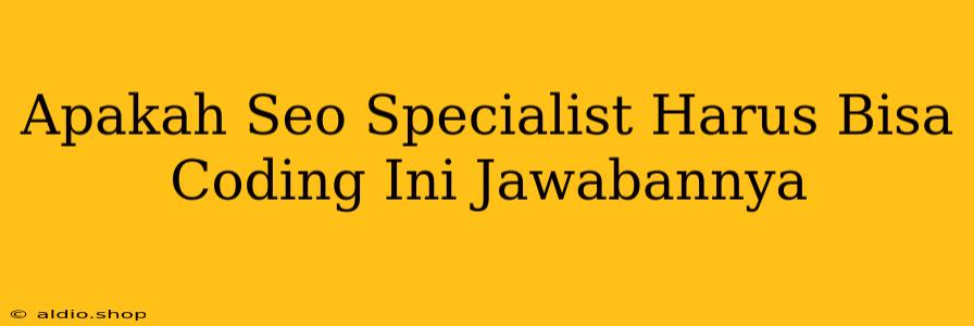 Apakah Seo Specialist Harus Bisa Coding Ini Jawabannya 