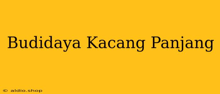 Budidaya Kacang Panjang 