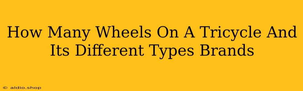 How Many Wheels On A Tricycle And Its Different Types Brands 